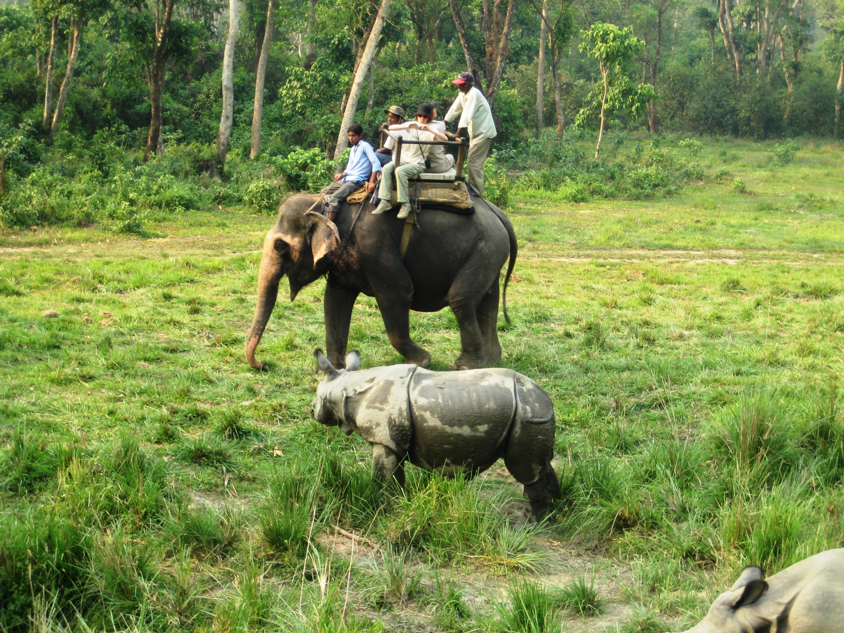 https://d3r8gwkgo0io6y.cloudfront.net/upload/1423464458_234 a_Chitwan_.jpg